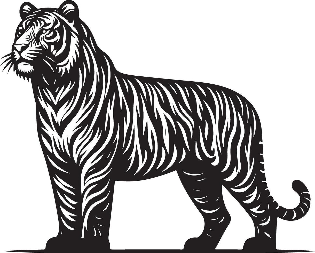 Tiger sketch art, Tiger line art illustration vector