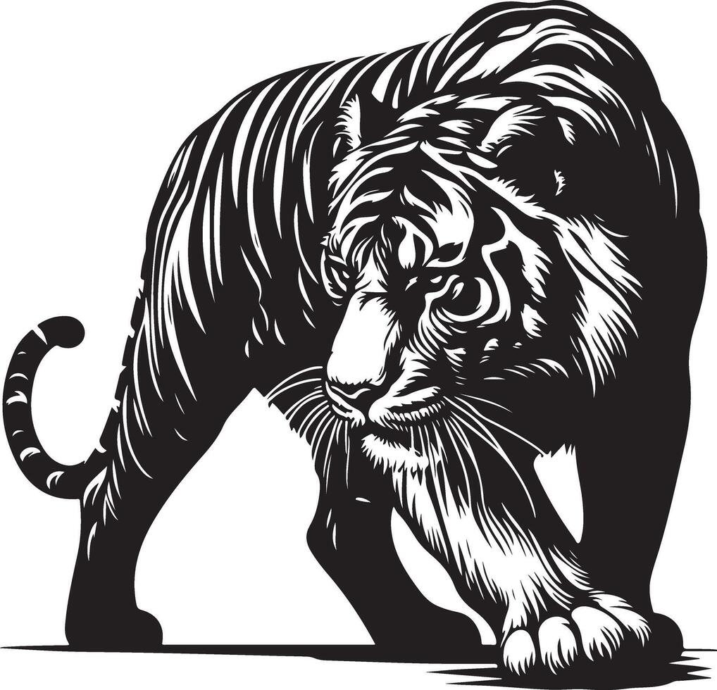 Tiger sketch art, Tiger line art illustration vector