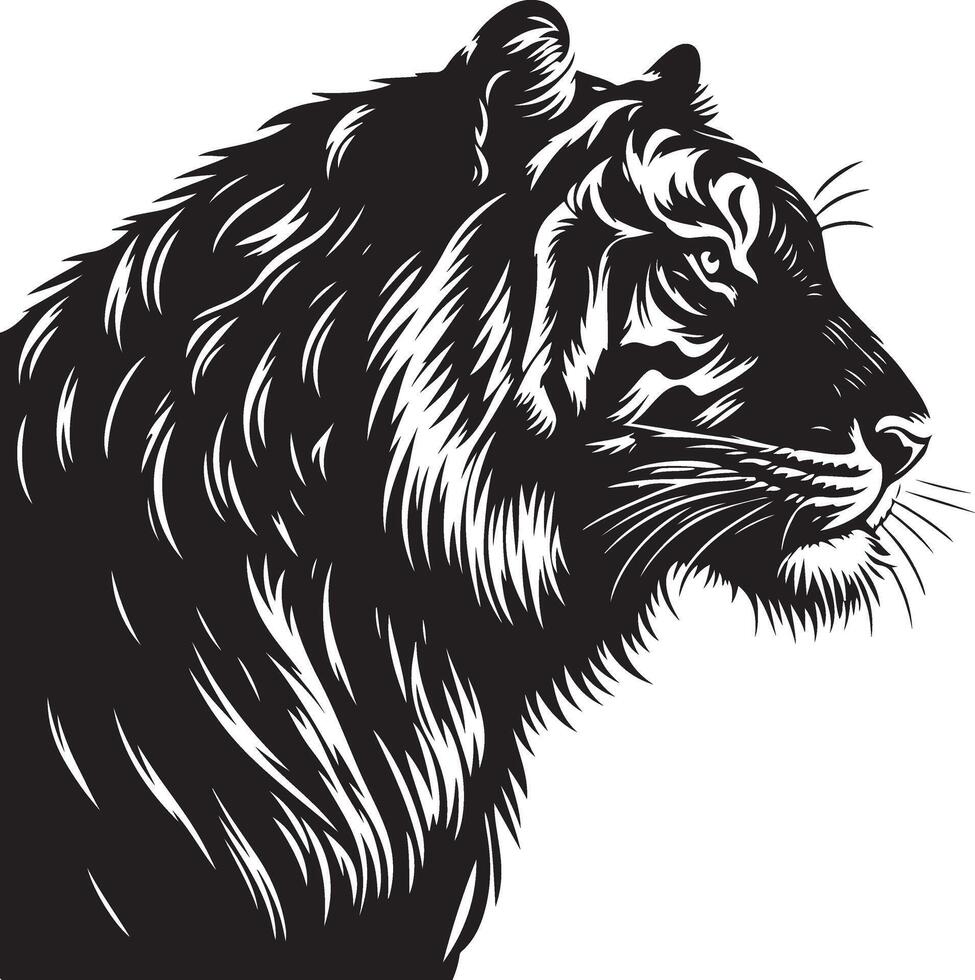 Tiger head sketch art, Tiger line art illustration vector