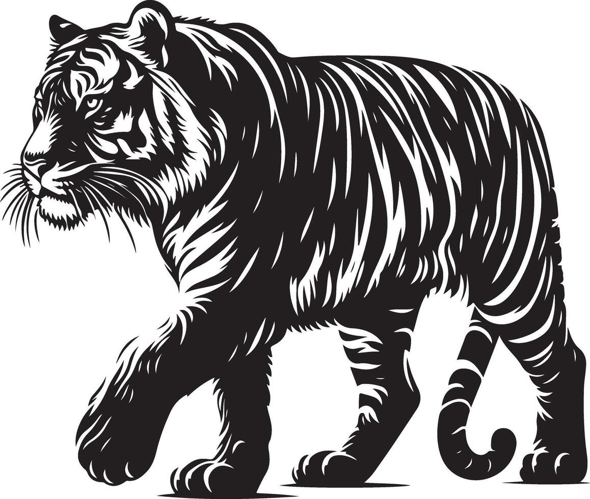 Tiger sketch art, Tiger line art illustration vector