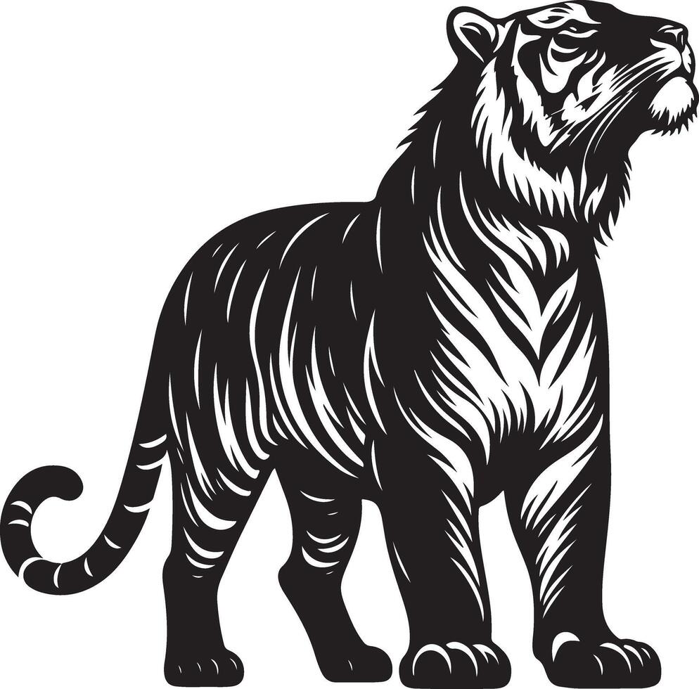 Tiger sketch art, Tiger line art illustration vector