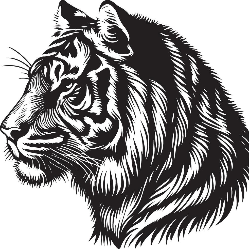 Tiger head sketch art, Tiger line art illustration vector
