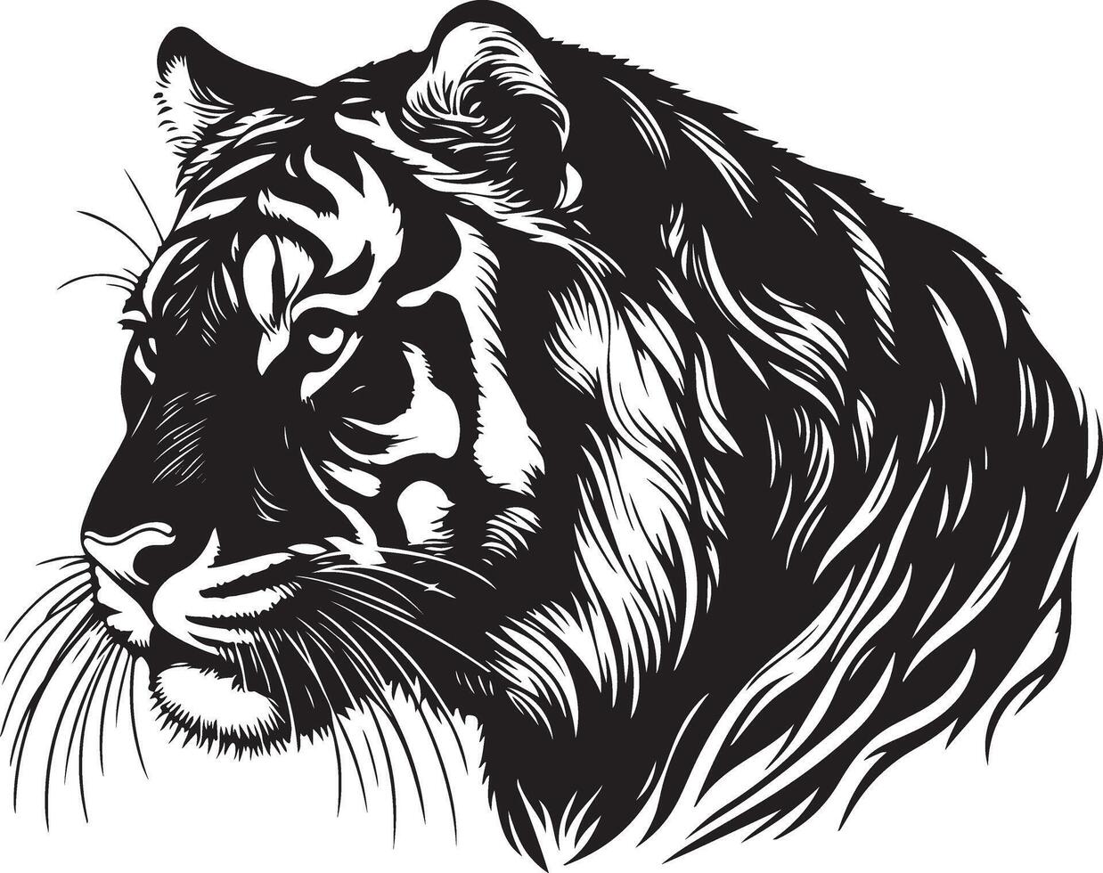 Tiger head sketch art, Tiger line art illustration vector