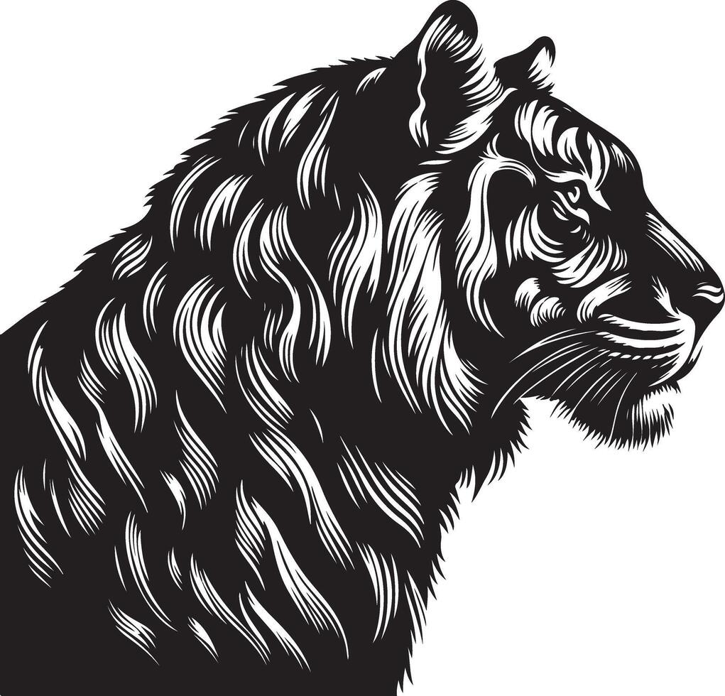 Tiger head sketch art, Tiger line art illustration vector