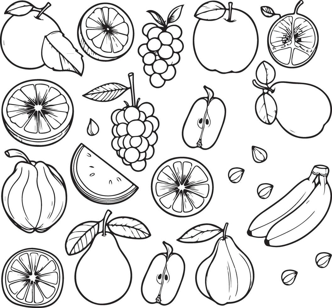 Fruits coloring page for kids colouring book page illustration vector