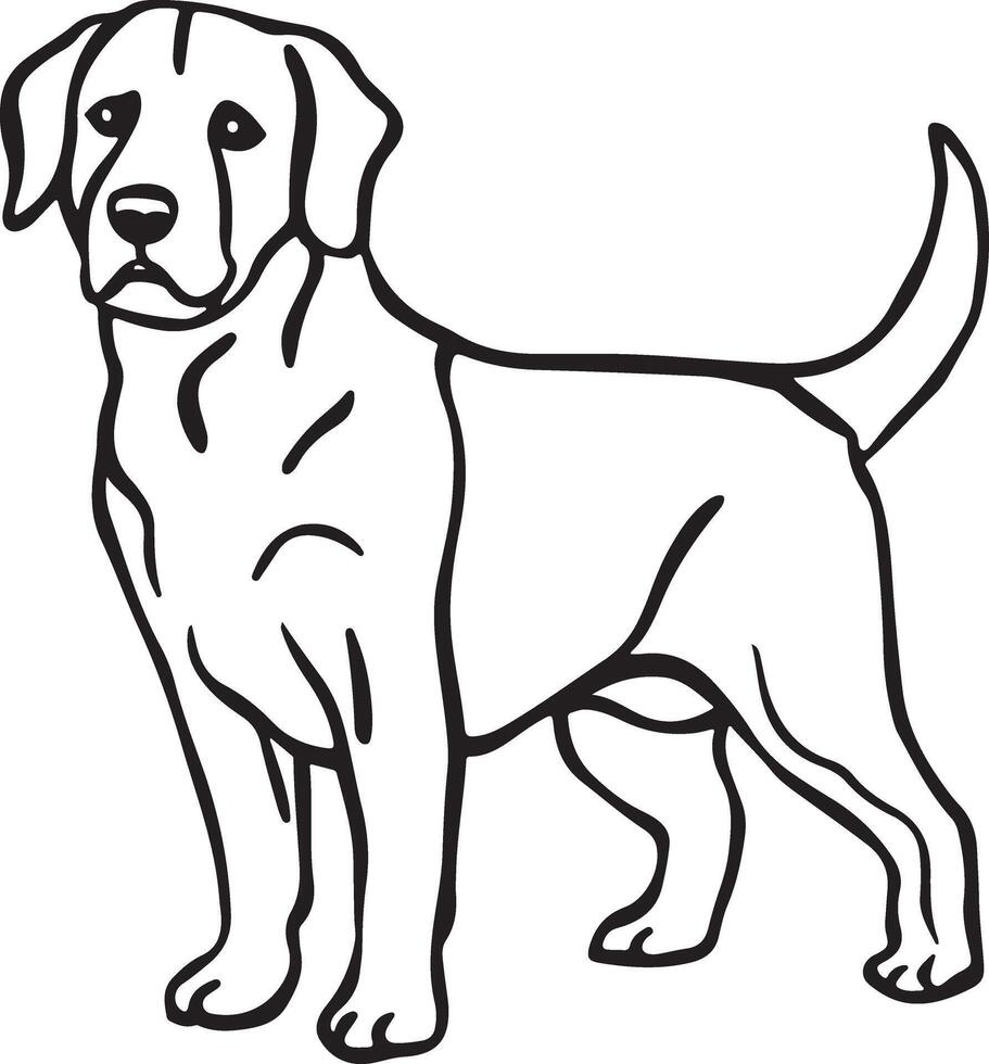 Dog coloring page illustration colouring page for kids, dog coloring book vector