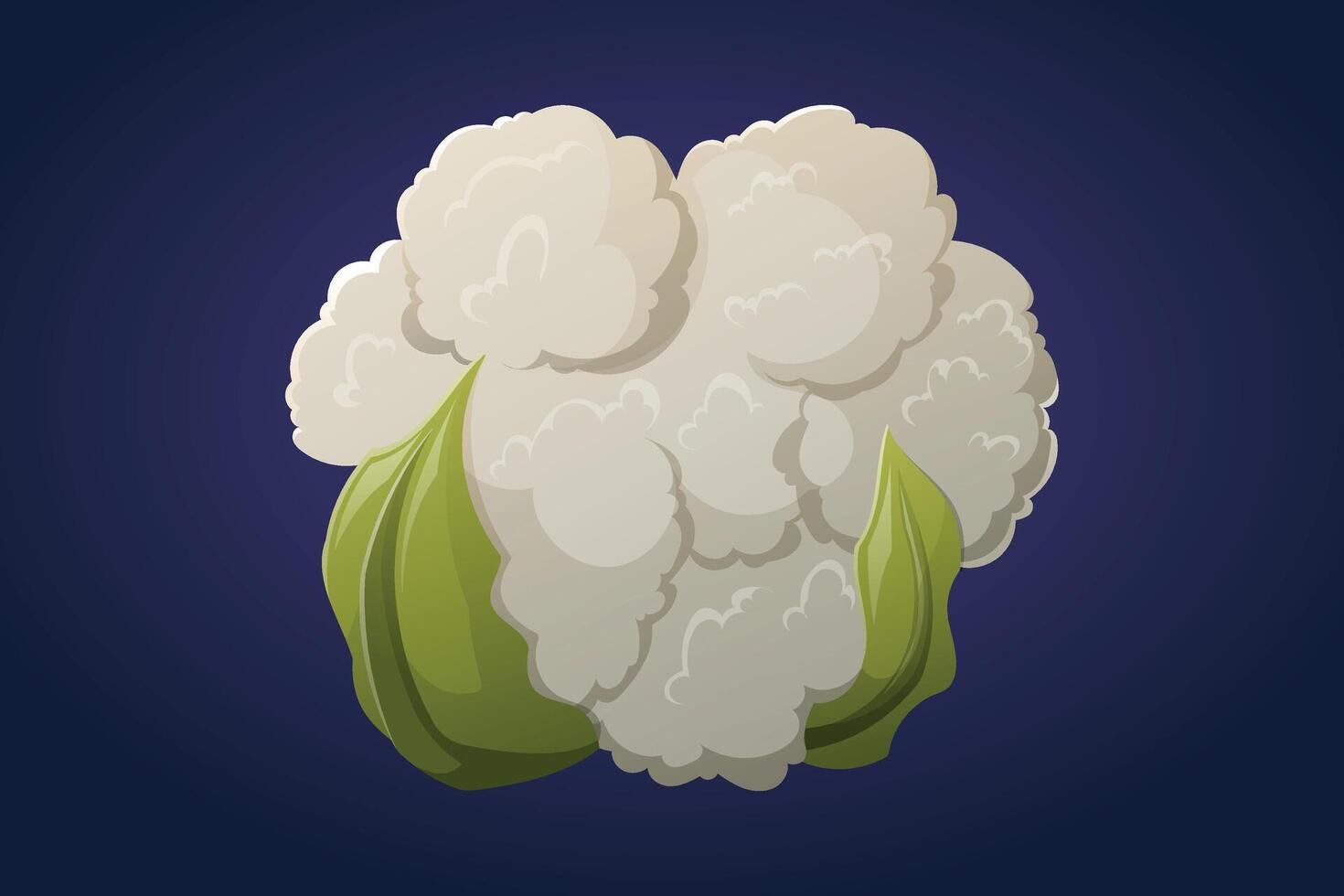 Head of natural cauliflower, isolated cartoon vegetable illustration. vector