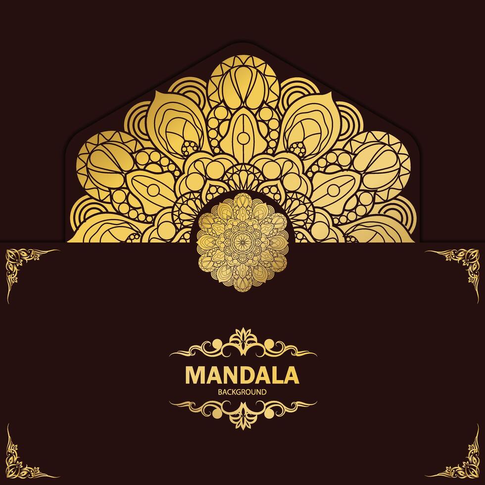 Beautiful mandala design vector