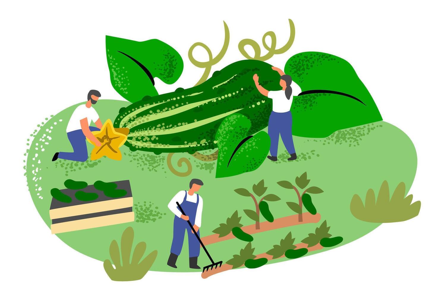 People with big cucumber. Character in garden harvesting. vector
