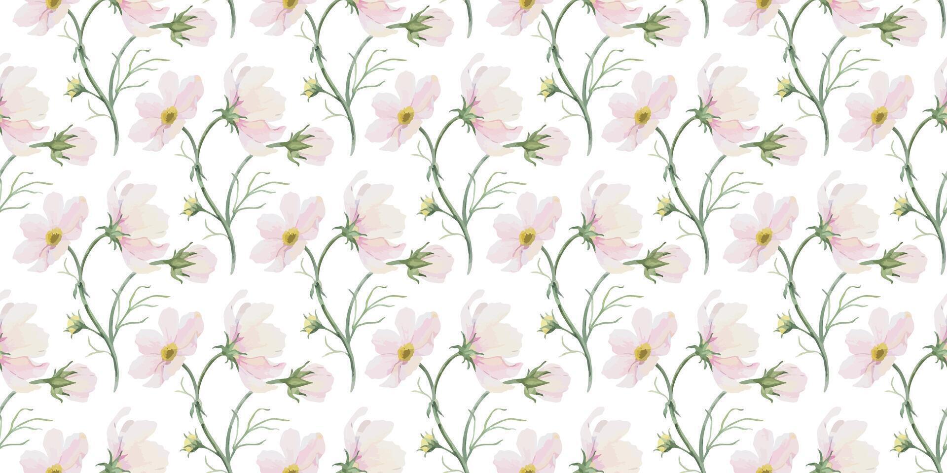 Print of pink and white Cosmea flowers. Cosmos bipinnatus. Hand drawn watercolor seamless pattern of Mexican aster. Summer floral background for wedding design, textiles, wrapping paper, scrapbooking vector