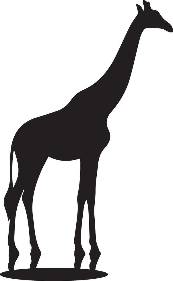 Giraffe silhouette. Giraffe black icon on white background. Giraffe head silhouette. white background. illustration vector