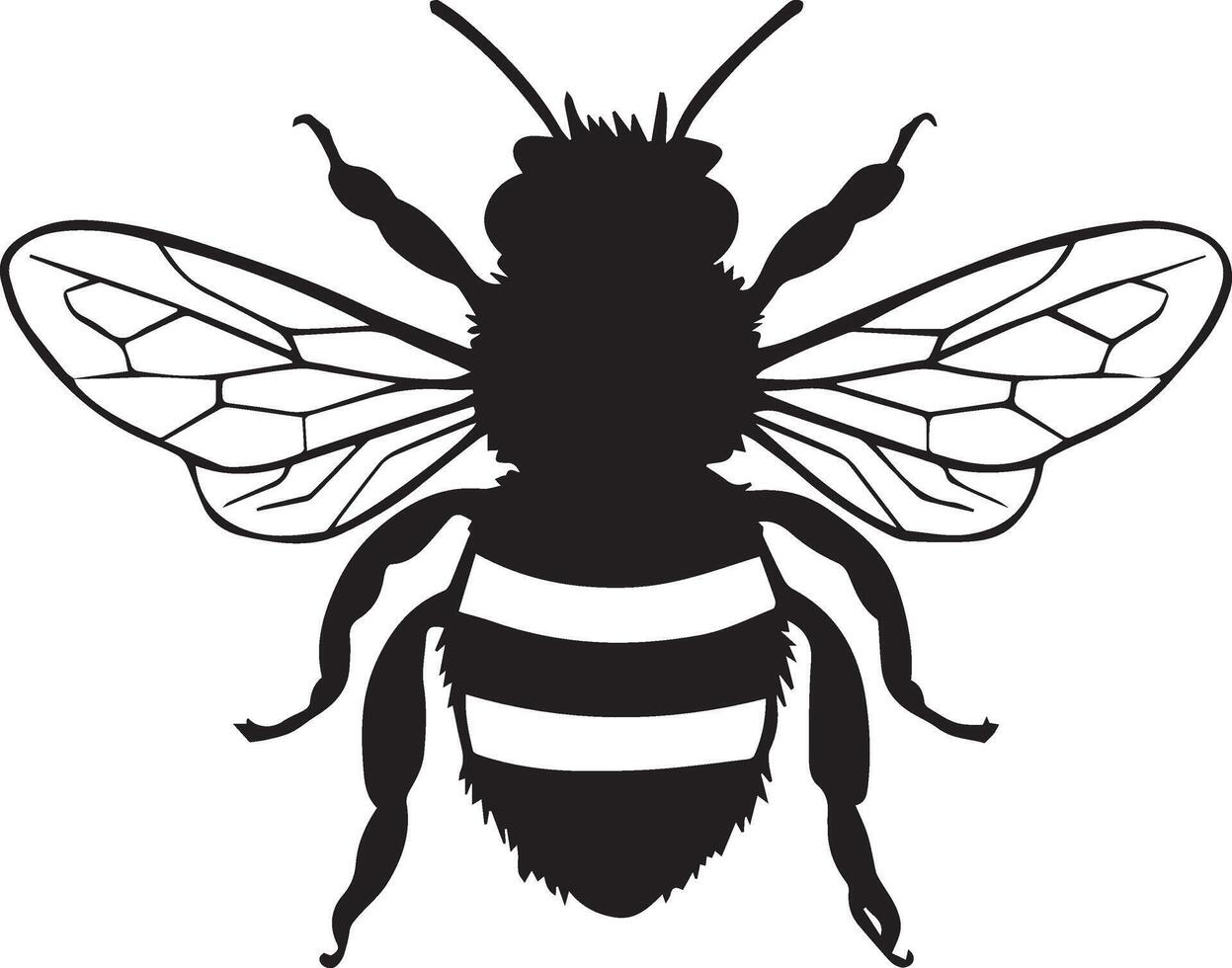 Honey Bee icon, honey bee silhouette on white background.Cute bee set. Color, black and white, silhouette bee collection. illustration for drawing. vector