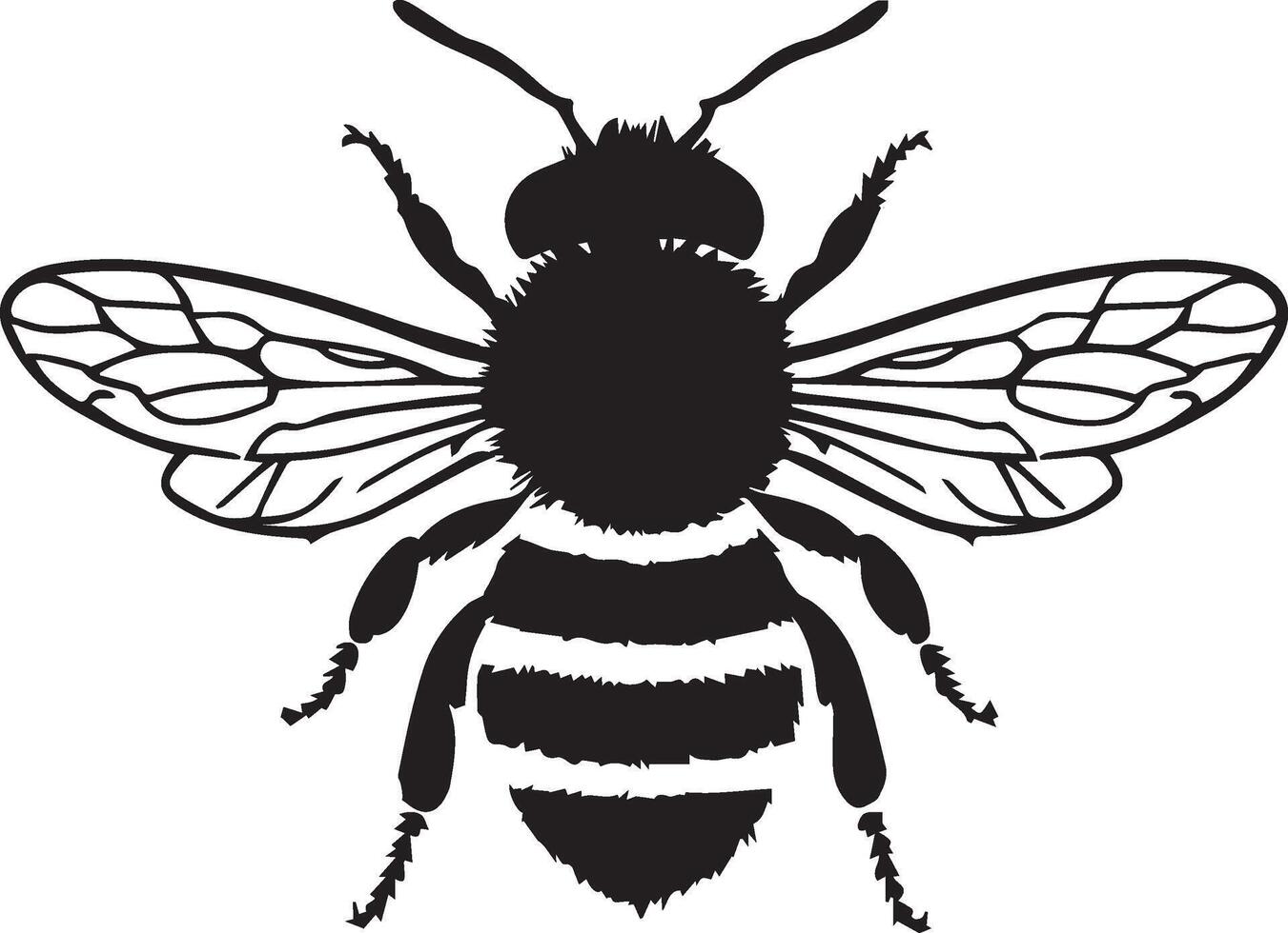 Honey Bee icon, honey bee silhouette on white background.Cute bee set. Color, black and white, silhouette bee collection. illustration for drawing. vector