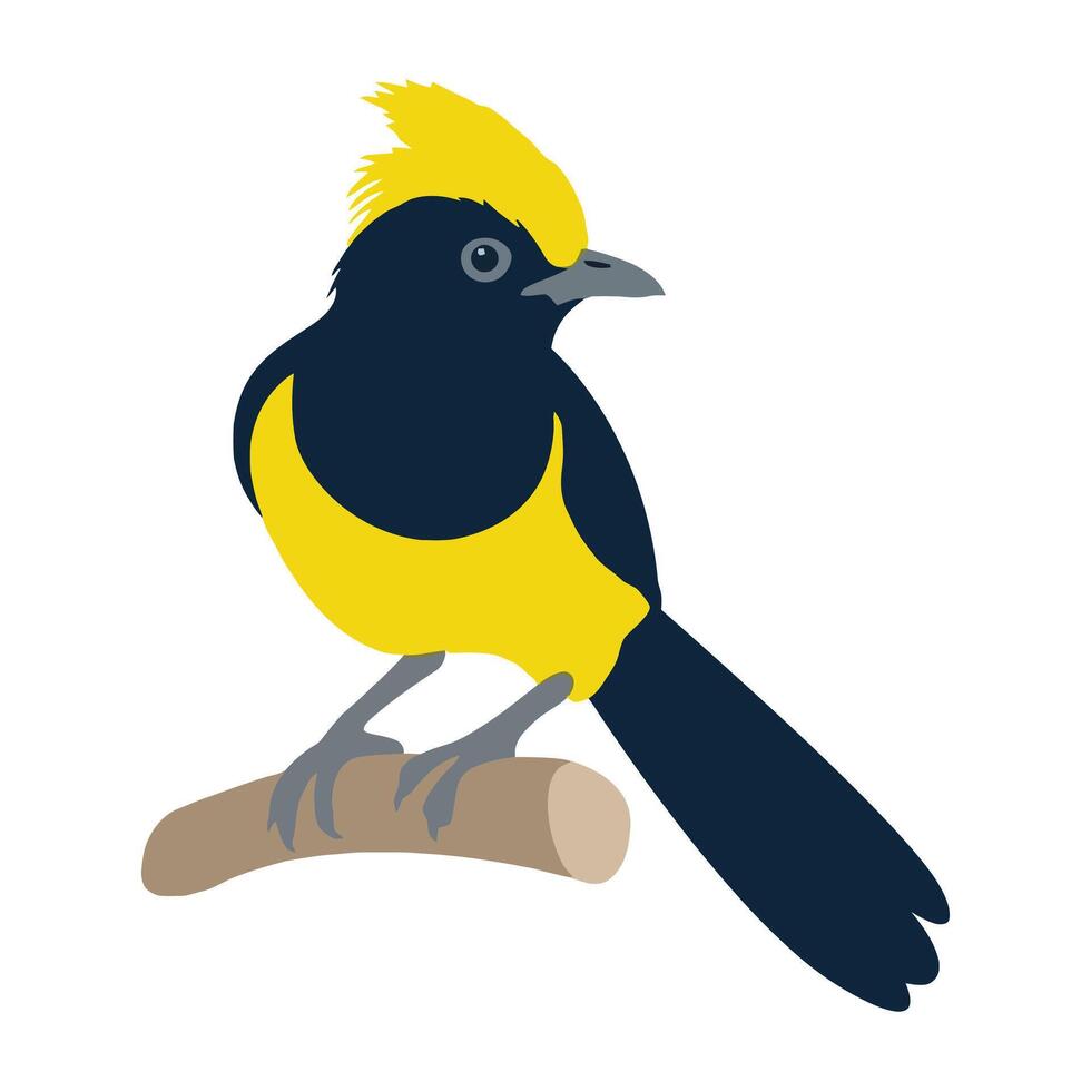 cute bird art vector
