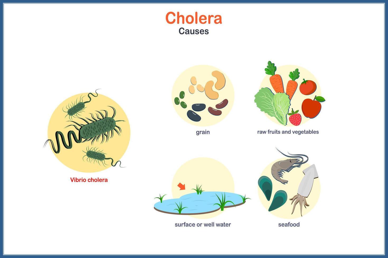 Causes of cholera in flat style vector