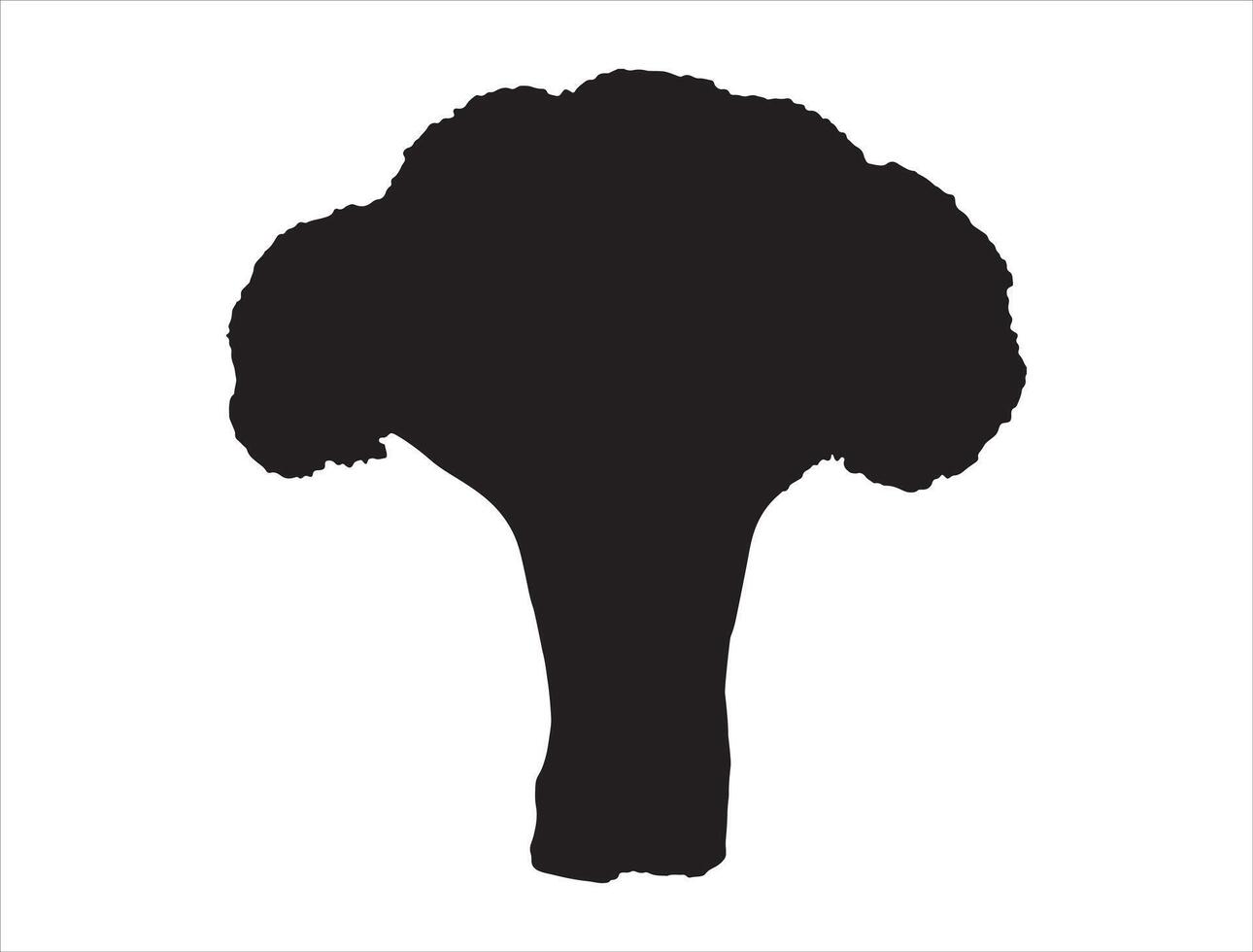 Broccoli silhouette on white background vector