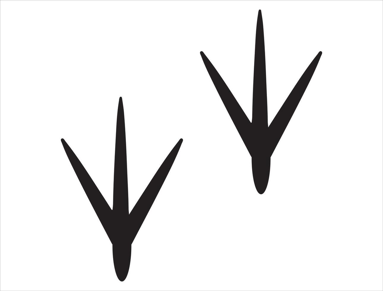 Bird feet silhouette on white background vector