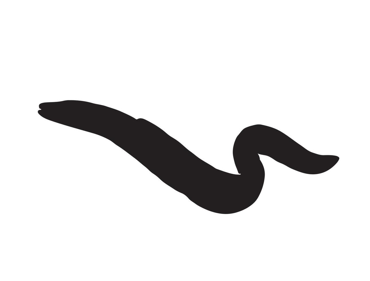 Eel silhouette on white background vector