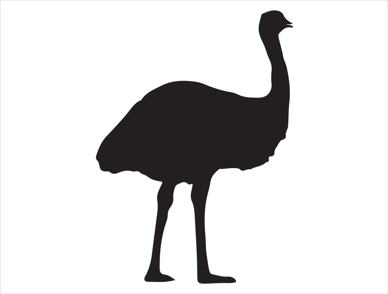 Emu silhouette on white background vector