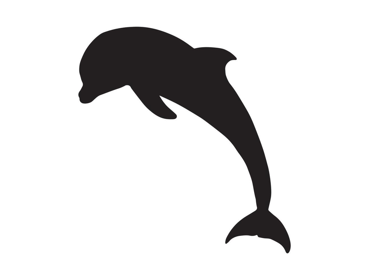 Dolphin silhouette on white background vector