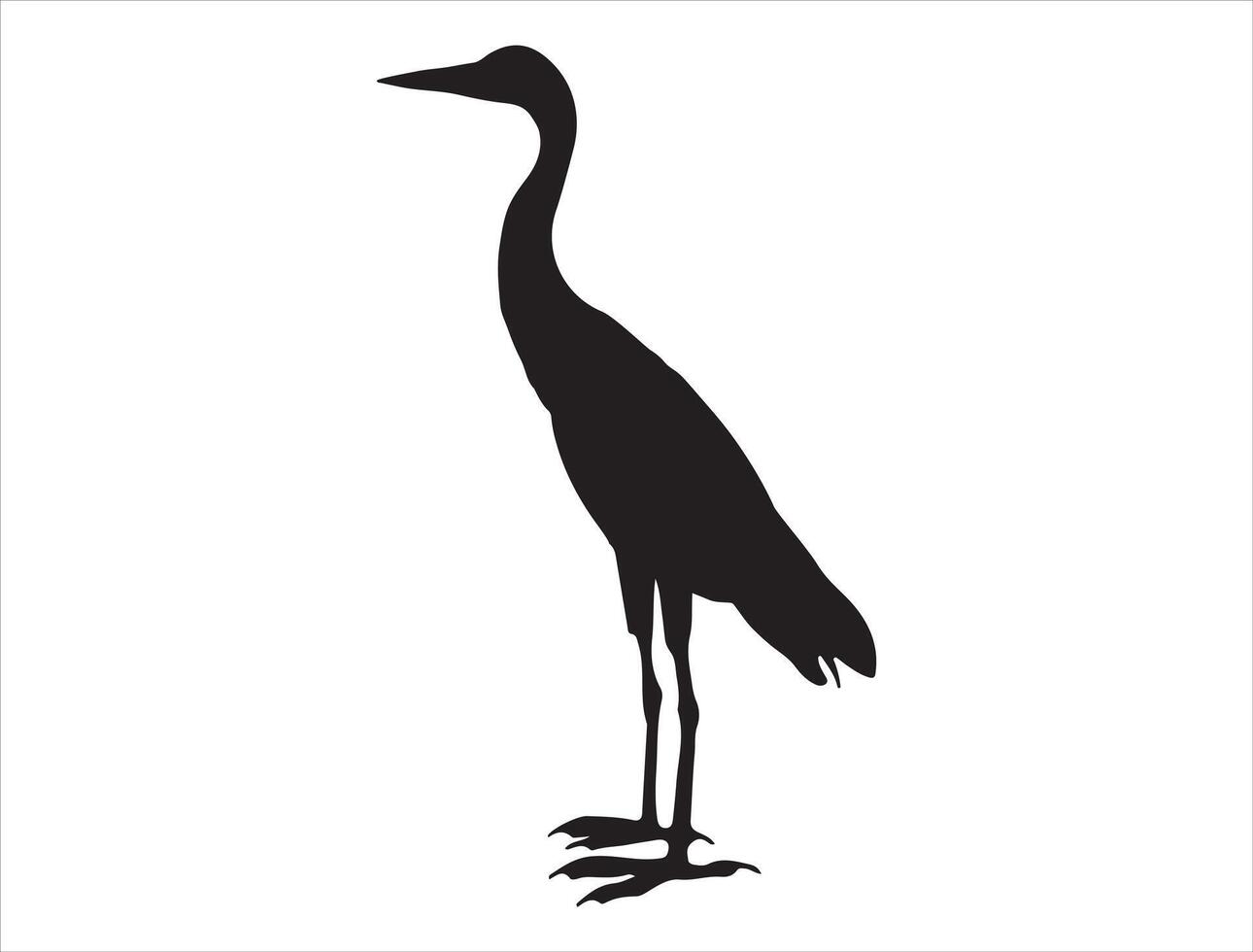 Egret silhouette on white background vector