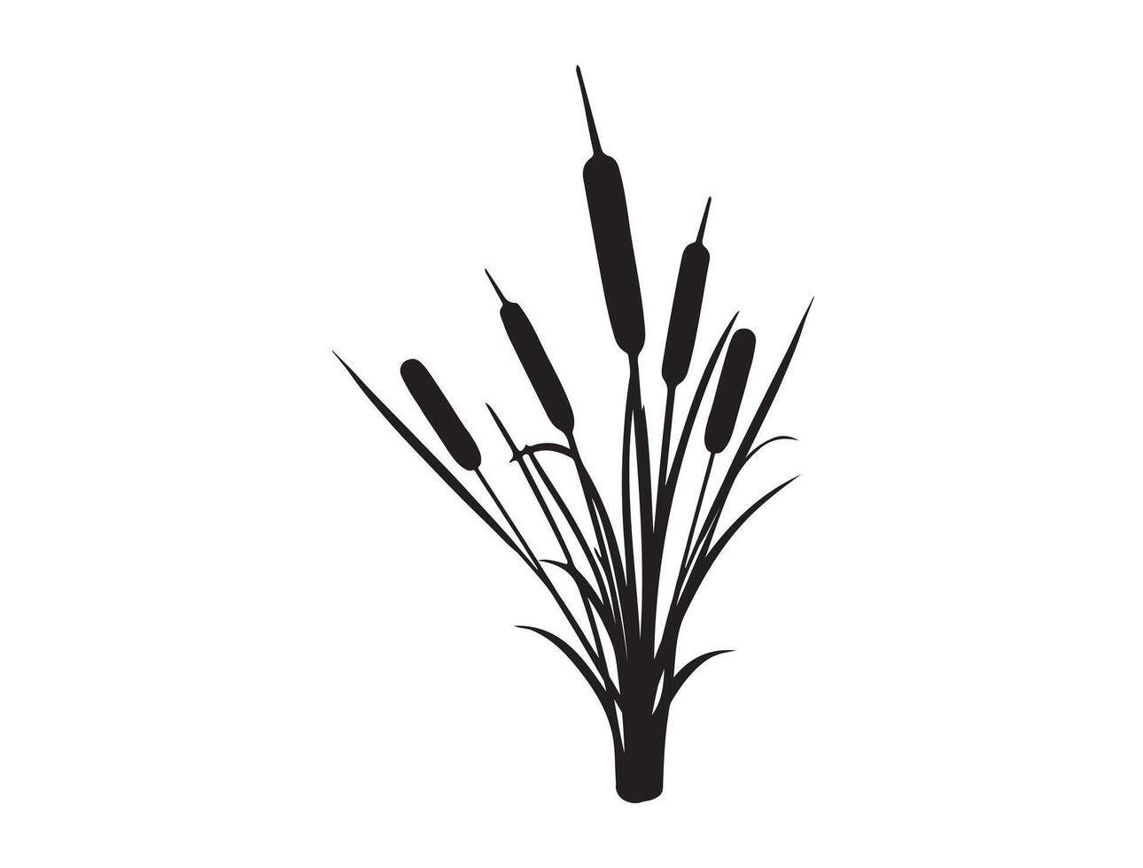 Cattail silhouette on white background vector