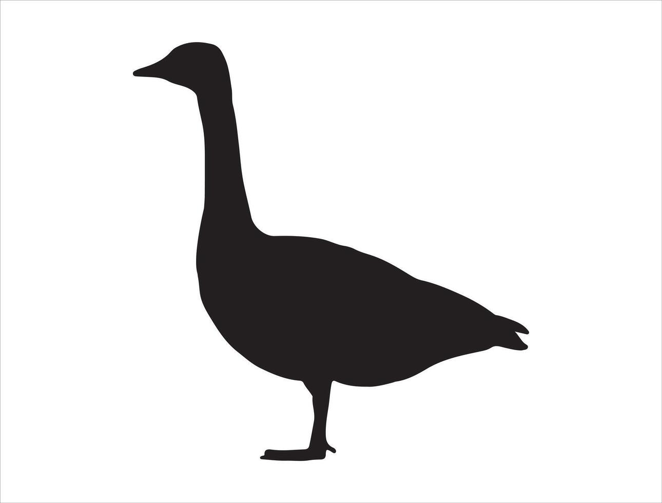 Canada goose silhouette on white background vector
