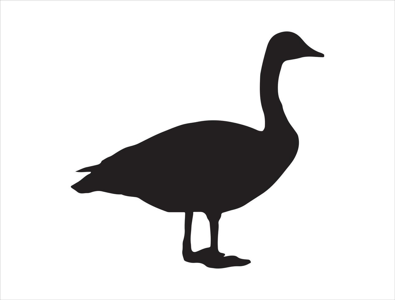 Canada goose silhouette on white background vector