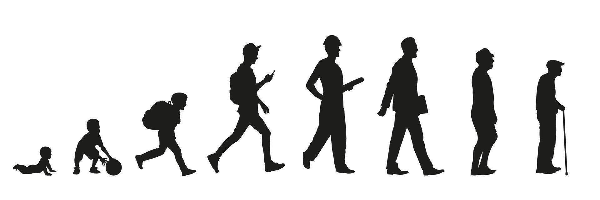 Life cycle and aging process. Men's periods of life. vector