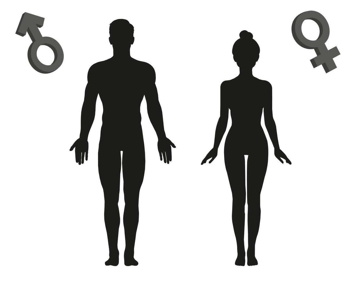 Distinguishing genders or to present unisex concepts. vector