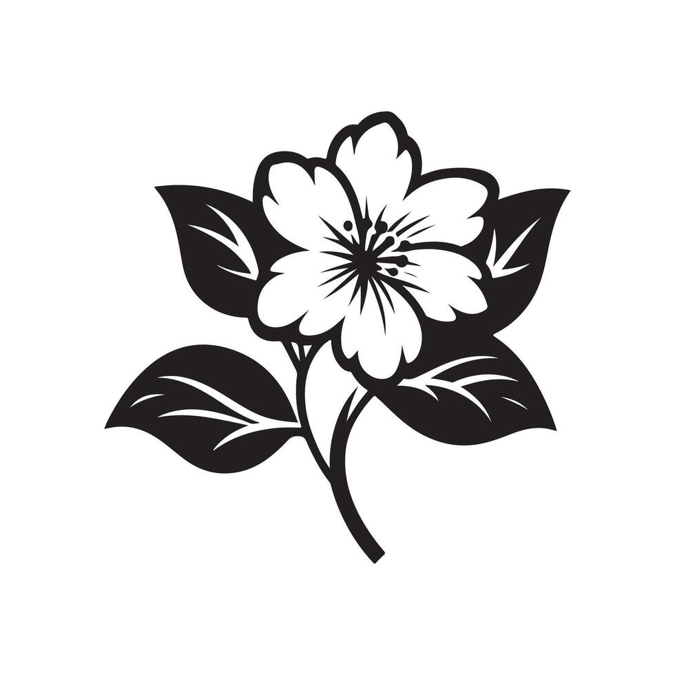 jasmine flower black vector