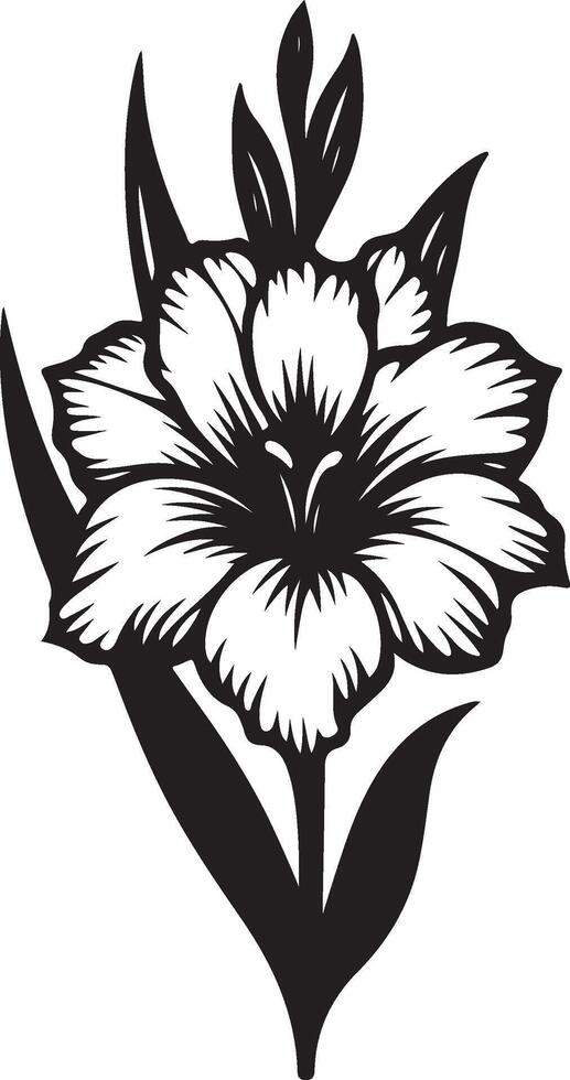 gladiolus flower color vector