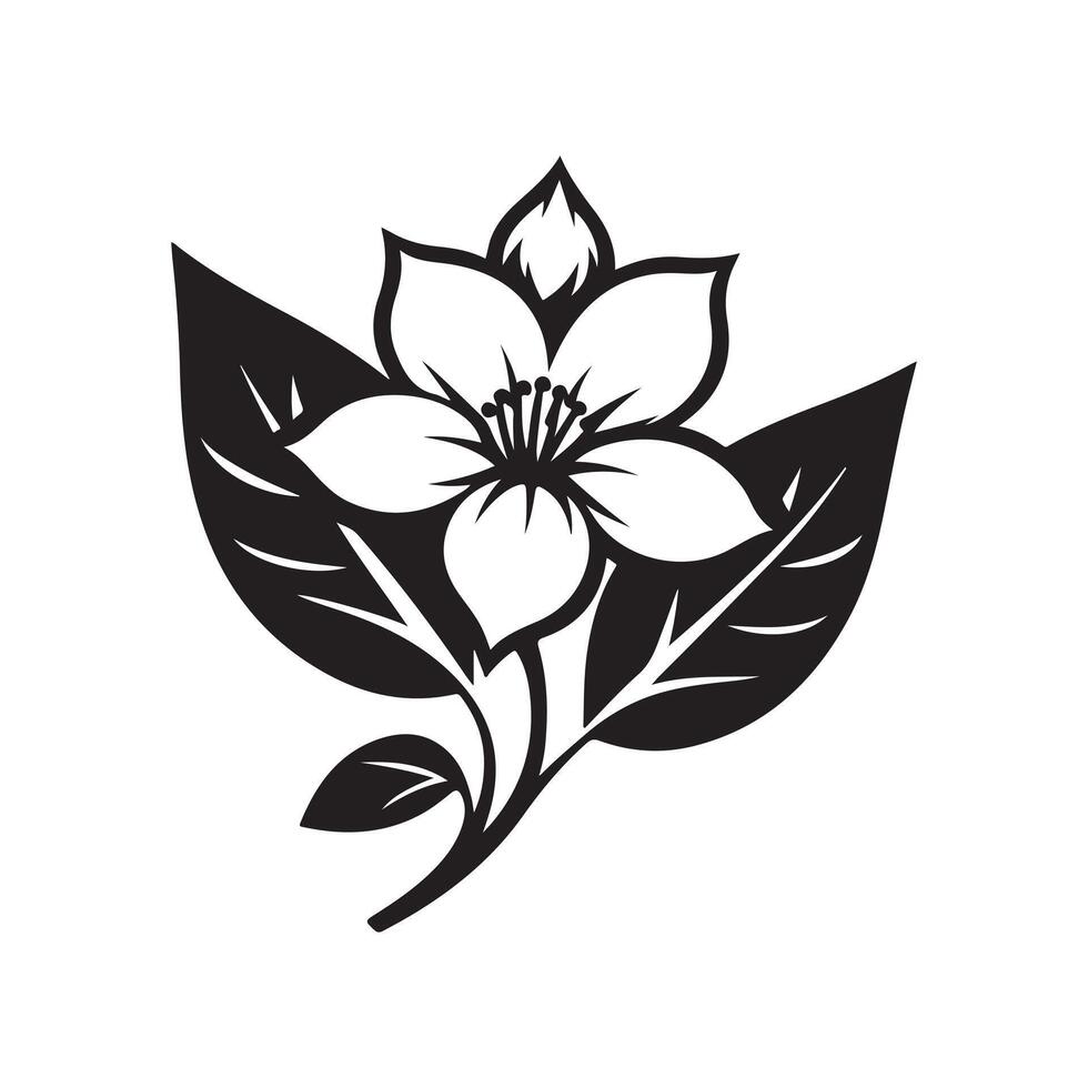 jasmine flower black vector