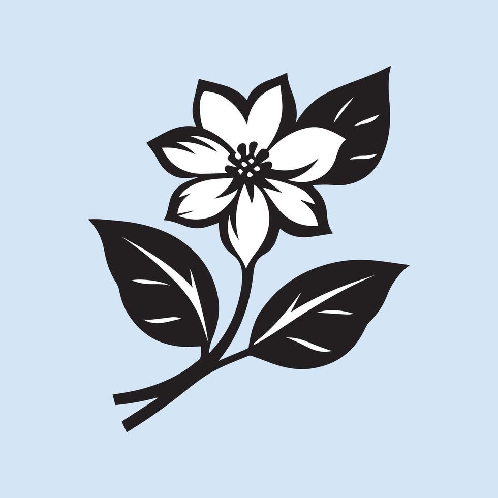 jasmine flower black vector