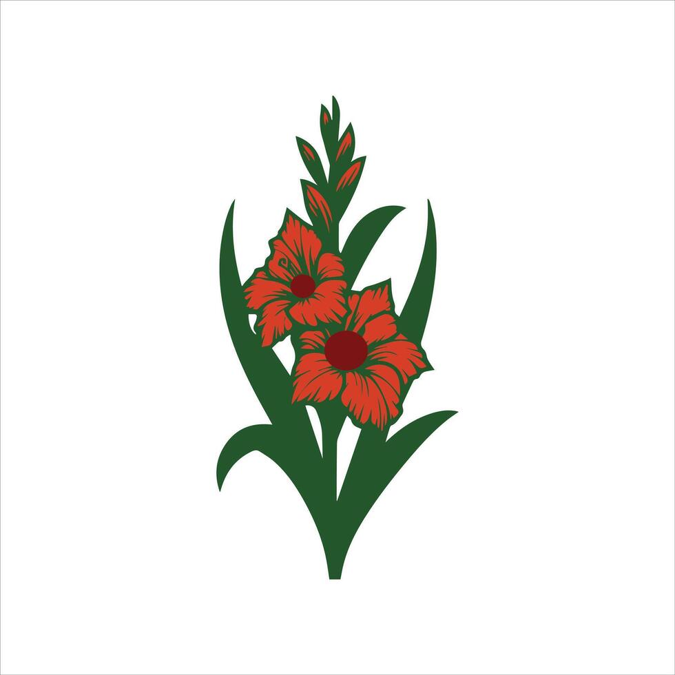 gladiolus flower color vector