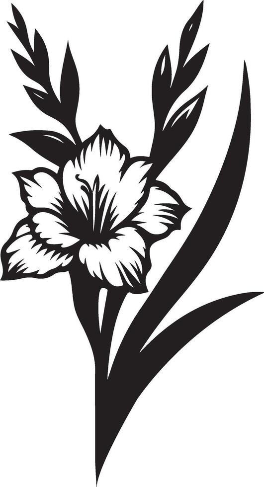 gladiolus flower color vector