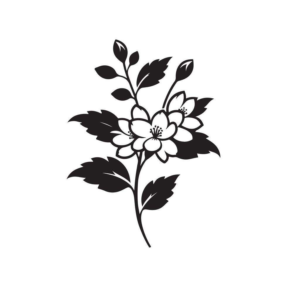 jasmine flower black vector