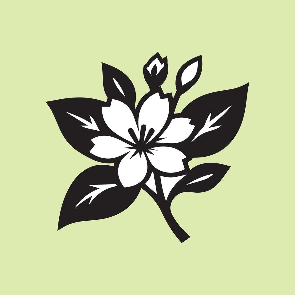 jasmine flower black vector