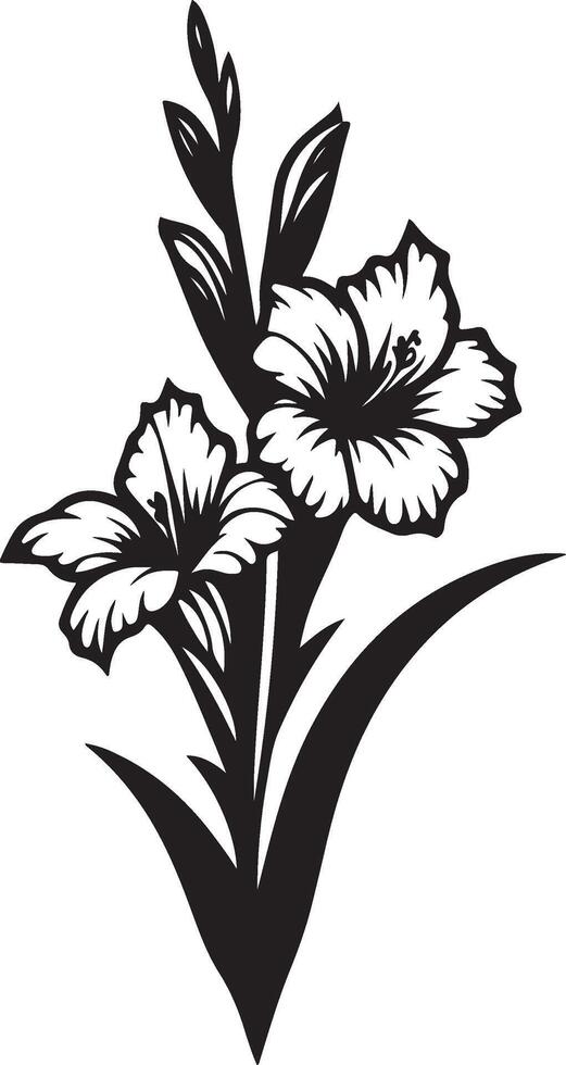 gladiolus flower color vector