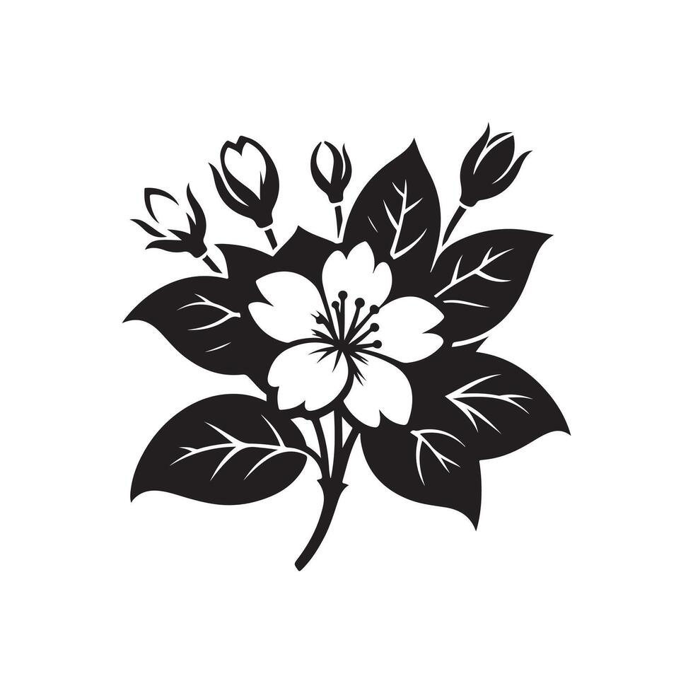 jasmine flower black vector