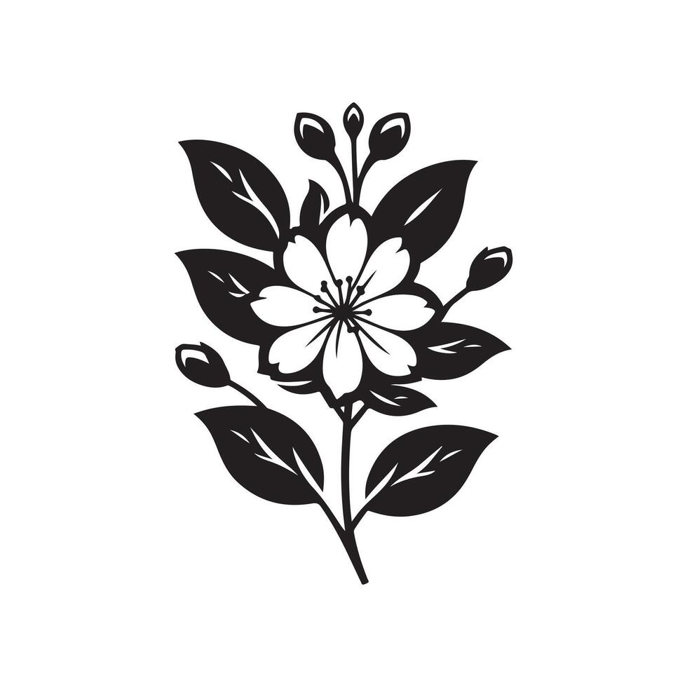 jasmine flower black vector