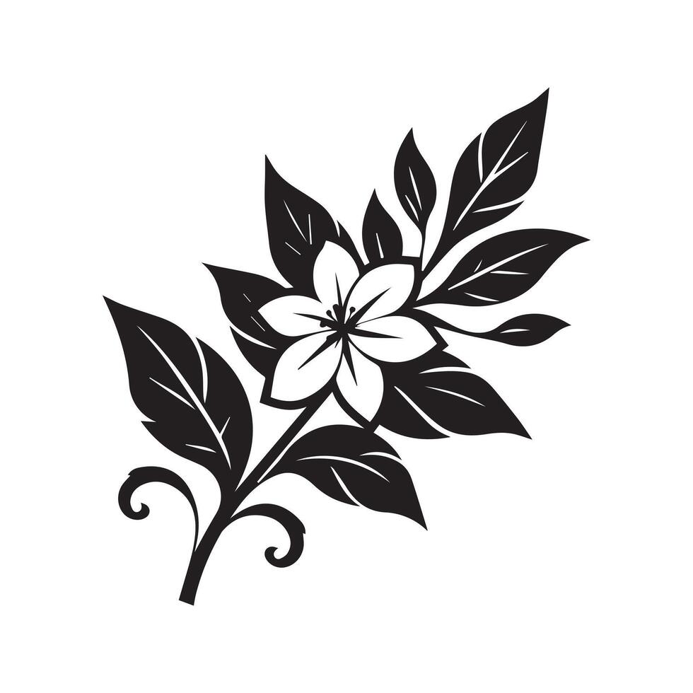 jasmine flower black vector