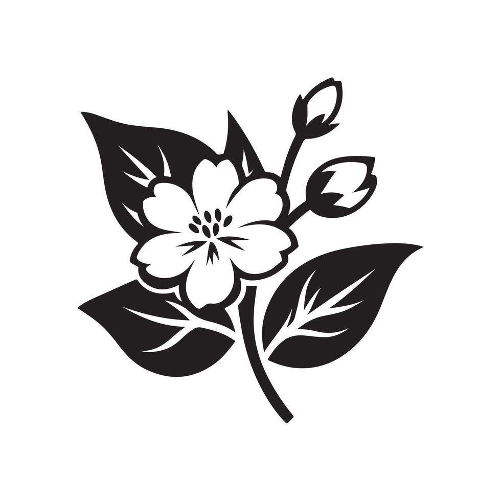 jasmine flower black vector
