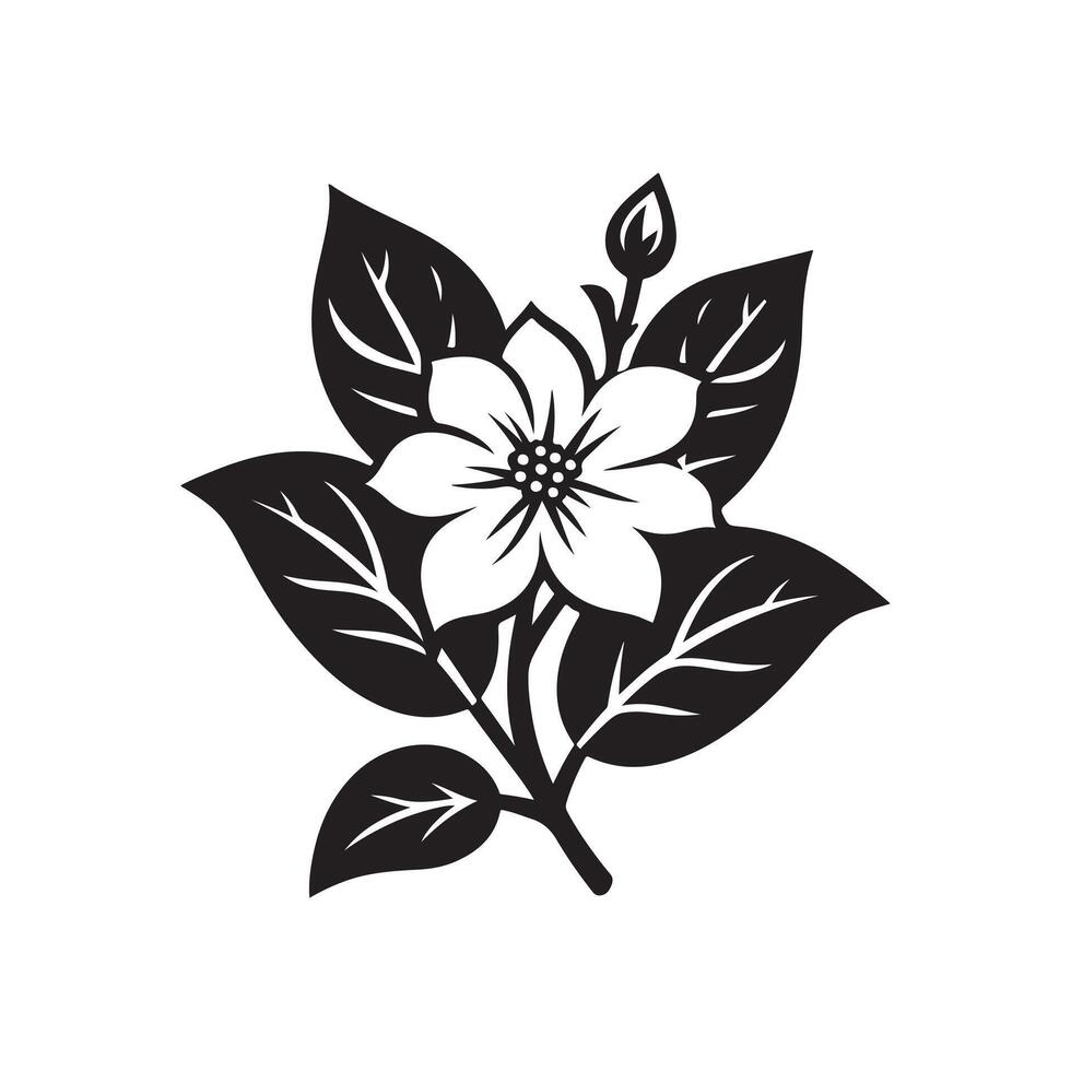 jasmine flower black vector