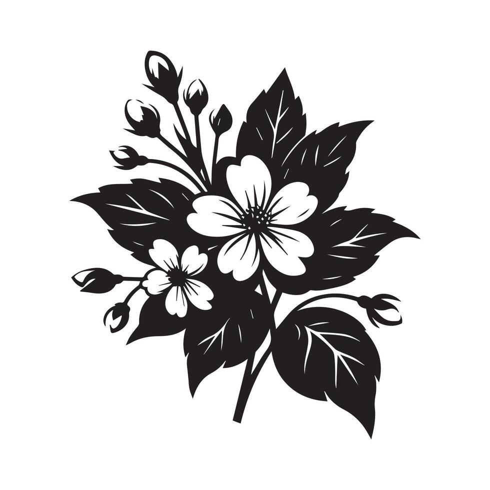 jasmine flower black vector