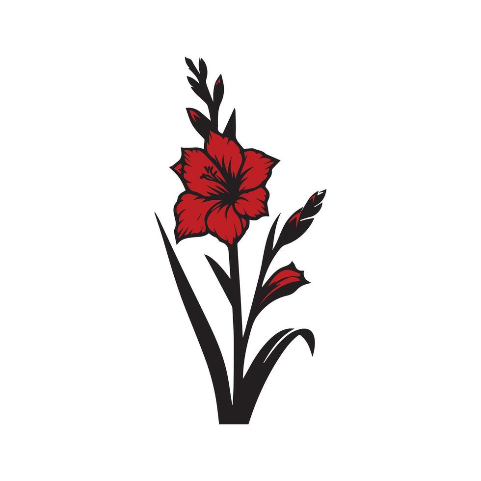 gladiolus flower color vector