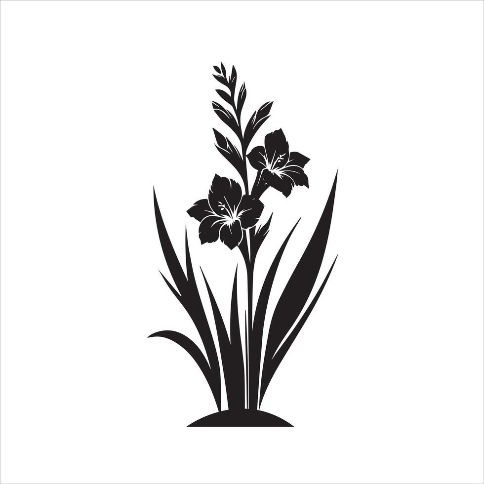 gladiolus flower color vector