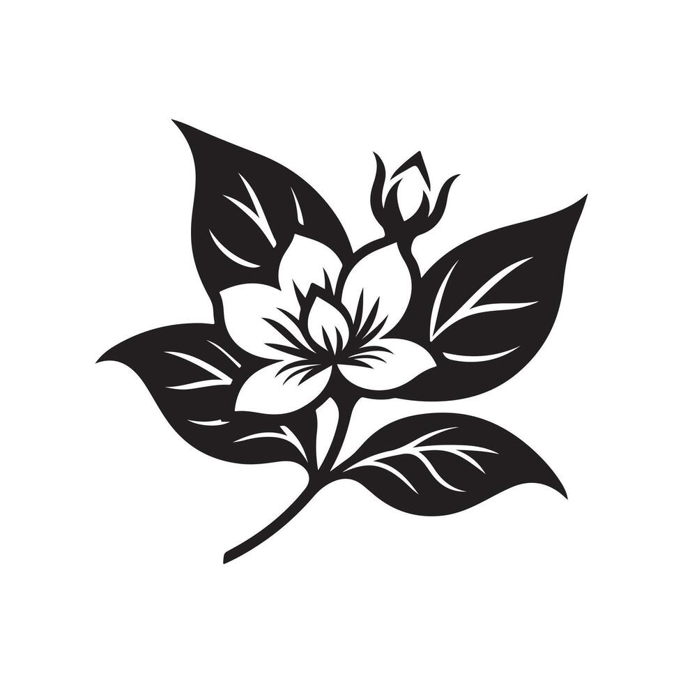 jasmine flower black vector