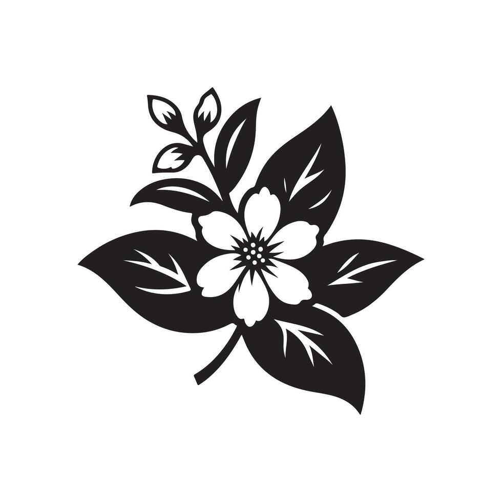 jasmine flower black vector