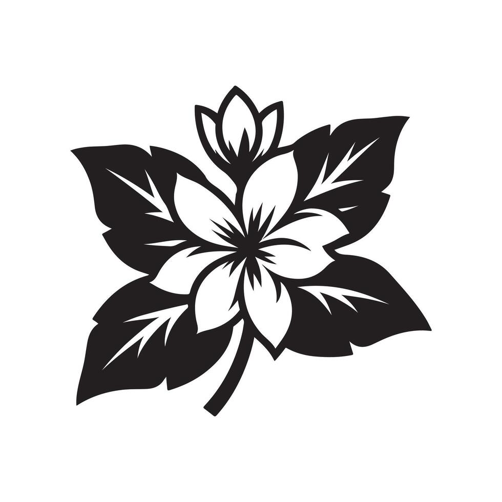 jasmine flower black vector